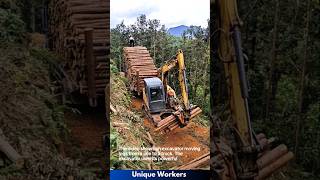 Powerful excavator moving logs in forest  The workers do their job perfectly  machine shorts [upl. by Lampert]