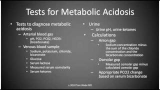 Metabolic Acidosis [upl. by Adeys]