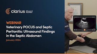 Veterinary POCUS and Septic Peritonitis Ultrasound Findings in the Septic Abdomen [upl. by Zehcnas]