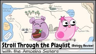 Stroll Through the Playlist a Biology Review [upl. by Leake384]