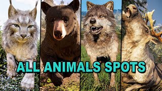 Assassins Creed Valhalla  All Animals Hunting Best Farming Spots [upl. by Eiramanit]