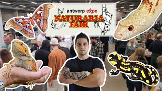 Naturaria Fair Antwerpen  Wat een Diversiteit aan Soorten [upl. by Gabrila]