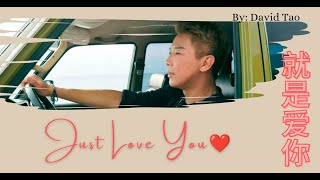 【就是爱你  陶喆】JUST LOVE YOU  DAVID TAO  فقط احبك  Chinese Pinyin English Arabic Lyrics [upl. by Rama]