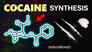 Epic First Cocaine Synthesis in 25 Steps Educational [upl. by Livvy]