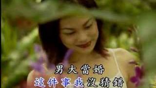 最長的國語流行歌曲之一：張琍敏花田錯 [upl. by Aisila]