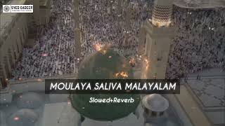 Moulaya Saliva Malayalam  SlowedReverb Naat Slowed Reverb [upl. by Campagna]