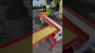 Marble Run Race ASMR ☆ Roll down a handmade wooden slope to an orange circle with a hole [upl. by Ymereg]