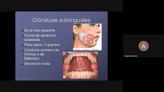 curso de Radiologia dental [upl. by Oynotna479]