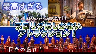 【WDW】絶対行って‼︎フロリダにしかないアトラクションがめっちゃよかった！ [upl. by Poliard]