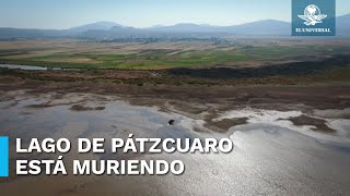 Sequía deforestación y extracción de agua están matando a el Lago de Pátzcuaro [upl. by Sulihpoeht]