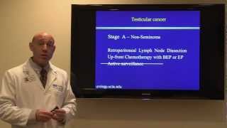 Treatment for Testicular Cancer Dr Mark S Litwin  UCLAMDChat [upl. by Ddat]