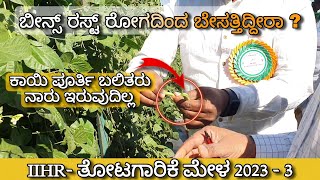 Rust amp Virus resistant Beans variety  Arka Sukomal from IIHR [upl. by Moe]