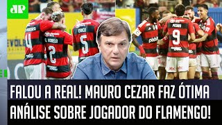 quotBAGRE NÃO É NADA DISSO A REALIDADE é que hoje elequot VEJA quem Mauro Cezar ANALISOU no Flamengo [upl. by Isadora]