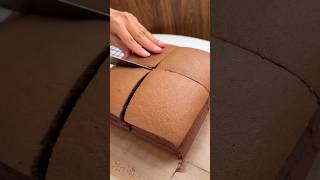 Chocolate Taiwanese Castella Sponge Cake ☁️🍫  초콜릿 대만 카스테라 만들기 [upl. by Wooster]