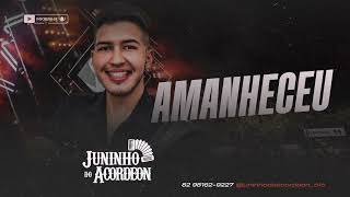 AMANHECEU  Juninho do Acordeon [upl. by Refinney387]