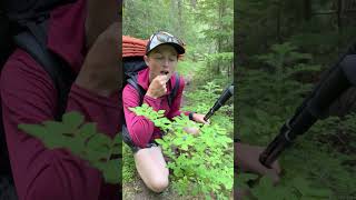 Poisonous plants to watch out for on the trail backpacking poison edibleplants [upl. by Salli166]