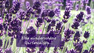 Eine wunderschöne Gartensaison [upl. by Marba]