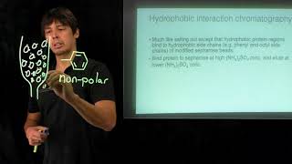 Topic 47  Hydrophobic interaction chromatography and chromatograms [upl. by Rori]