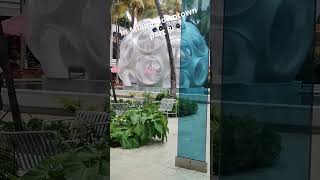 In Miami downtown  Part 8 [upl. by Adihahs973]