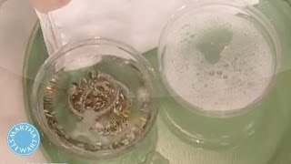 Jewelry Cleaning Tips  Martha Stewart [upl. by Compte413]