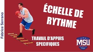 Travail dappuis spécifiques basket sur échelle de rythme par Fabrice Serrano [upl. by Annayram]