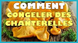 Comment congeler des chanterelles [upl. by Ayot]