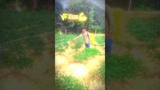 Kisan video shorts song pop music cover lyrics motivation [upl. by Ecirtac577]