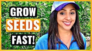 How To Germinate Seeds Fast  3 Simple Steps [upl. by Leviram]