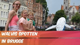 WALVIS SPOTTEN IN BRUGGE  Familie Meerschaert Vlog [upl. by Belloir]