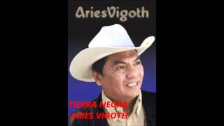 Musica Llanera  Tierra Negra  Aries Vigoth [upl. by Dyson]