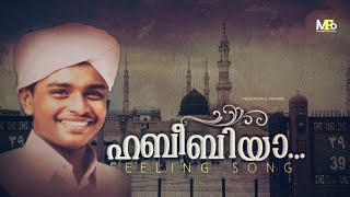 കാതങ്ങൾ അക്കരെ  ഇത്രക്കും ഫീൽ ചെയ്ത പാട്ട് കേട്ടിട്ടില്ല  KATHANGAL AKKARE mubashir perinthattiri [upl. by Yorke]