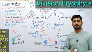 92 Bryophytes  Life cycle of Bryophytes  Alternation of generation  Fsc MDCAT NEET Ppsc and CSS [upl. by Garcia]