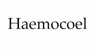 How to Pronounce Haemocoel [upl. by Reed]