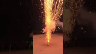 Raccoon Pro Line 5 inch fireworks 🎆 shorts pyro banger fireworks [upl. by Kernan]