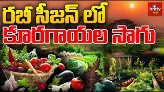 రబీ సీజన్ లో కూరగాయల సాగు Rabi season  HMTV Agri [upl. by Anikehs]