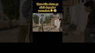 güvercin taklaciguvercinler taklacikus keşfet ufc taklaciguvercin funny taklaci pigeon [upl. by Yahsan159]