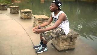 Wale Lotus Flower Bomb Official Video [upl. by Breh]