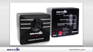 BirdX Transonic Bugchaser Product Video [upl. by Anaibaf]