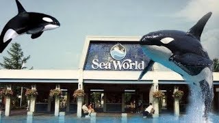 EXPLORING FORMER SEA WORLD CLEVELAND OHIO [upl. by Enirehtac]