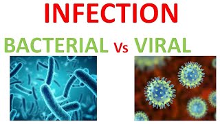 Bacterial Infection  Viral infection  what is bacteria  what is Virus infection type  हिंदी [upl. by Goldina]