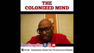 The Colonized Mind  Brother Panic [upl. by Winstonn290]