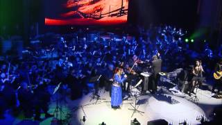 The Dark Knight  Hans Zimmer J Newton Howard  LIVE [upl. by Udenihc400]