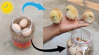 How to hatch eggs at home without incubator  Incubator plastic box help sunlight 100 result [upl. by Llewoh]