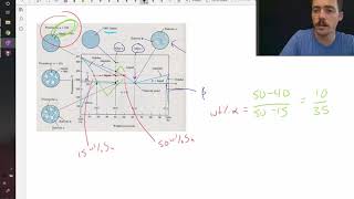 Example of sketching the proeutectic phases in a microstructure [upl. by Ladin]