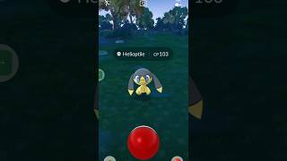 See how I Catch a Helioptile in Pokemon go pokemongo [upl. by Ian159]