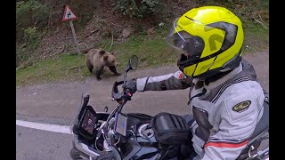 Transfagarasan Rumänien Bären  Motorrad Romania 2021 [upl. by Assilla]