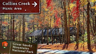 COLLINS CREEK PICNIC AREA Great Smoky Mountains National Park [upl. by Yhtac110]