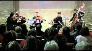 Baborak Ensemble · Carl Nielsen  Canto serioso [upl. by Howland]