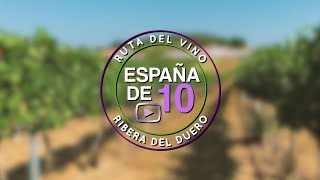 Ruta del vino Ribera del Duero 10 básicos [upl. by Atteynad]