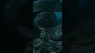 Megalodon vs Kraken  The Meg 2 Fight Scene  No ClickBait [upl. by Gillette]